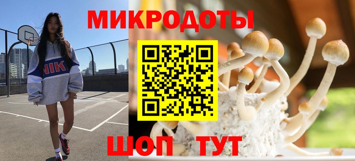 Псилоцибиновые грибы Cubensis Кинель